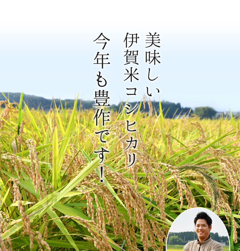 美味しい伊賀米コシヒカリ今年も豊作です!