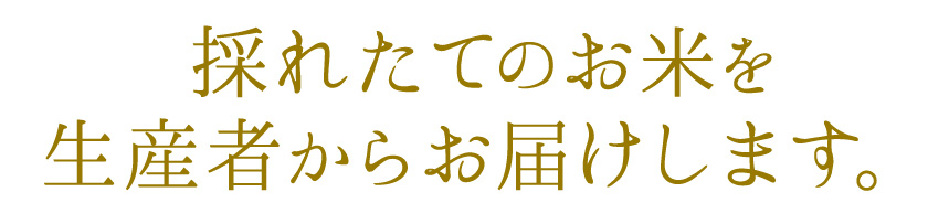 採れたてのお米を生産者からお届けします。